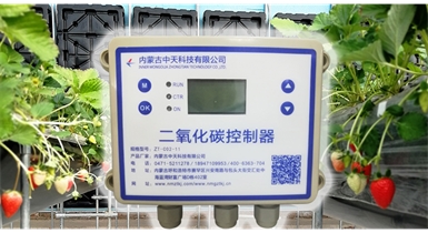 中國北方CO?新技術，將促進農(nóng)作物光合作用和光合產(chǎn)物的生成